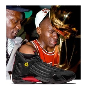 Air Jordan 14