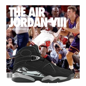 Air Jordan 8