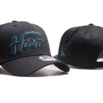 Бейсболка Charlotte Hornets купить-в-time2win.ru